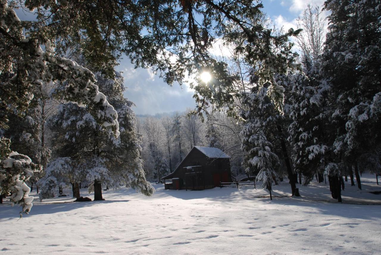 Shadow Mountain Escape Cabin Rentals Luray Dış mekan fotoğraf